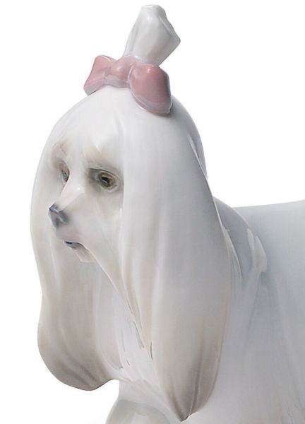 Lladro Maltese Dog