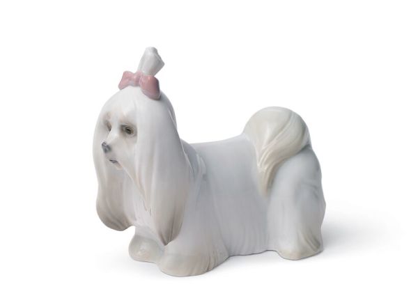 Lladro Maltese Dog