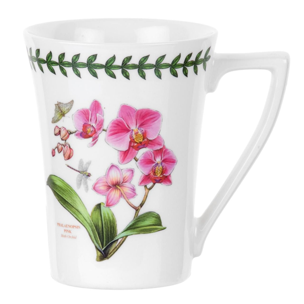 EXOTIC BOTANIC GARDEN KUPA MOTH ORCHID (PEMBE ORKİDE)