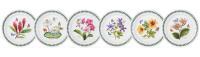 PORTMEIRION EXOTIC BOTANIC GARDEN PASTA TABAĞI 6 LI 21,5 CM