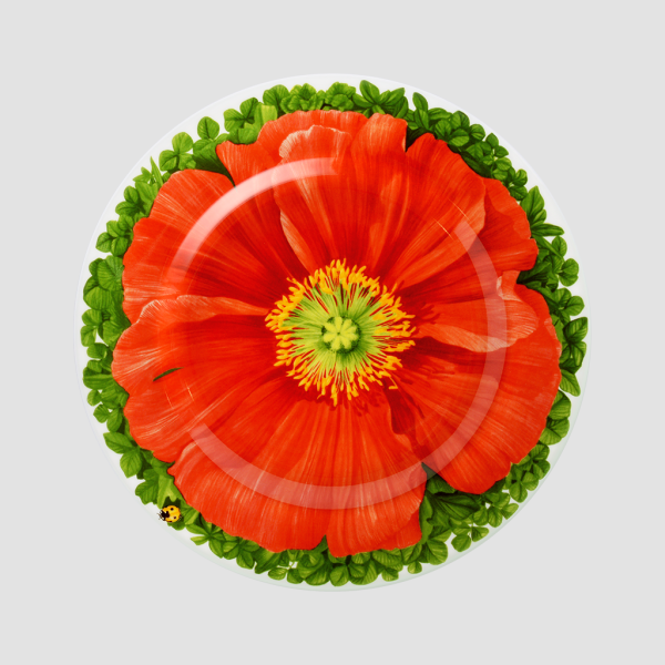 Taitu Milano Prati Italiani Pasta Tabağı 21,5 cm 4 lü set