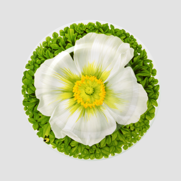 Taitu Milano Prati Italiani Pasta Tabağı 21,5 cm 4 lü set