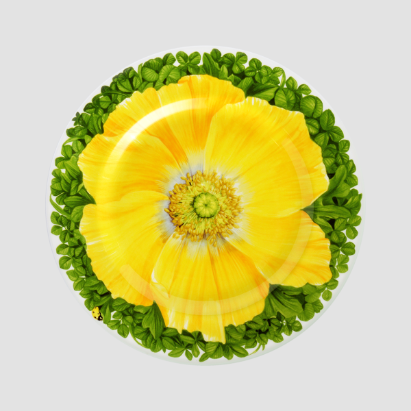 Taitu Milano Prati Italiani Pasta Tabağı 21,5cm 4 lü