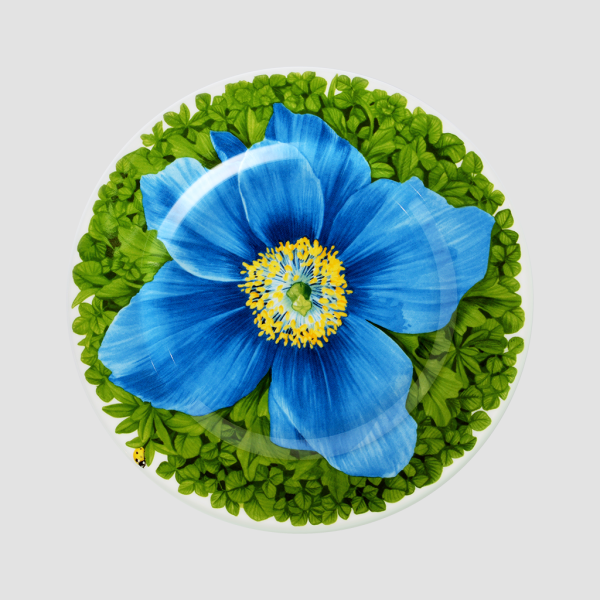 Taitu Milano Prati Italiani Pasta Tabağı 21,5 cm 4 lü set