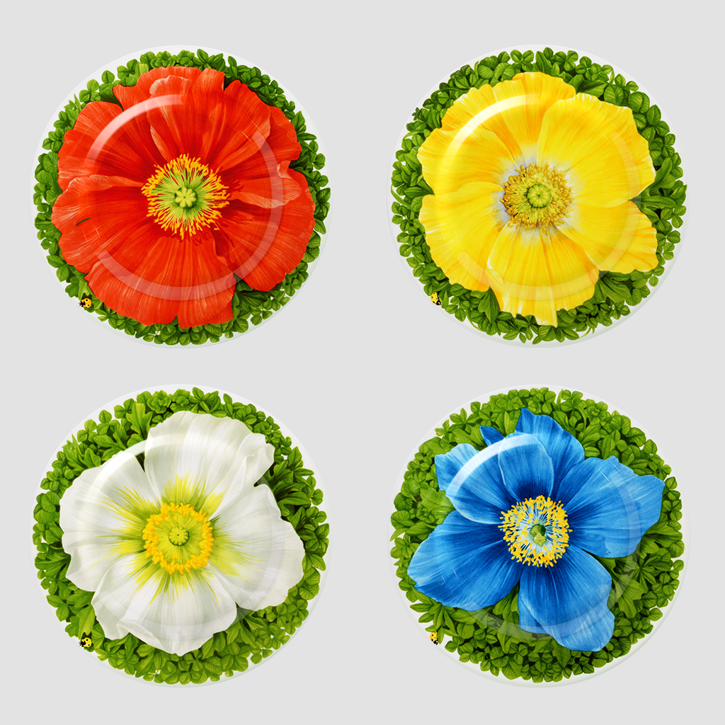 Taitu Milano Prati Italiani Pasta Tabağı 21,5 cm 4 lü set