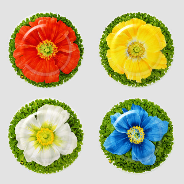 Taitu Milano Prati Italiani Pasta Tabağı 21,5 cm 4 lü set