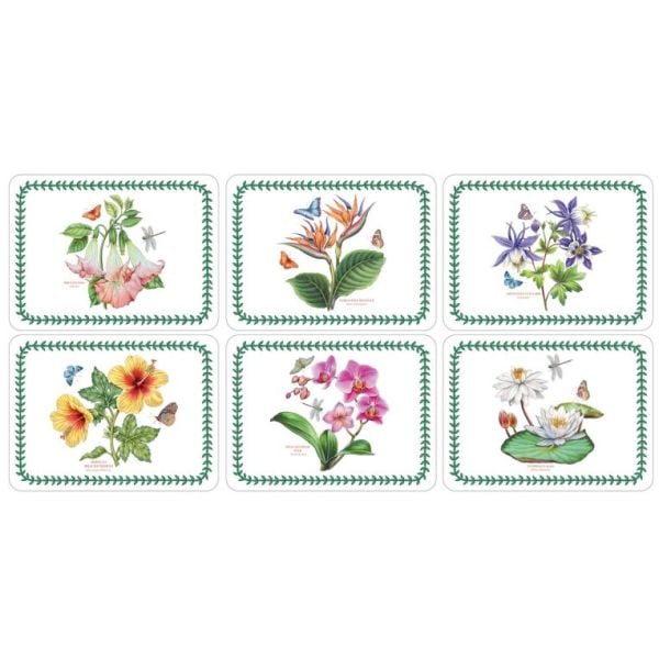 PORTMEIRION EXOTIC BOTANIC GARDEN 6'LI AMERİKAN SERVİS