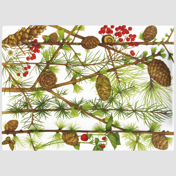 TAITÙ MILANO  MONTAGNA PORSELEN SUNUM TABAĞI 40X29CM