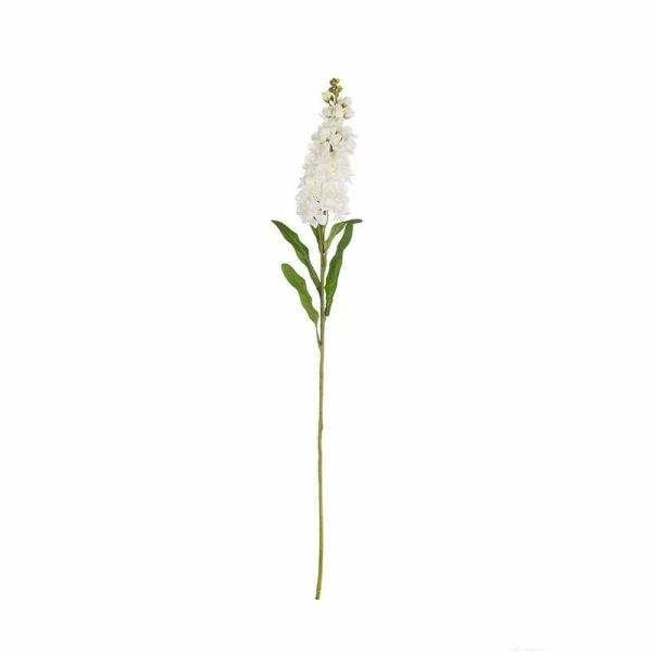 ASA SELECTION DELPHINUM BEYAZ 70 CM
