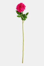 ASA Selection Azine Pink Yapay Çiçek 74 cm