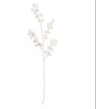 ASA SELECTION BEERENZWEIG BEYAZ 49 CM