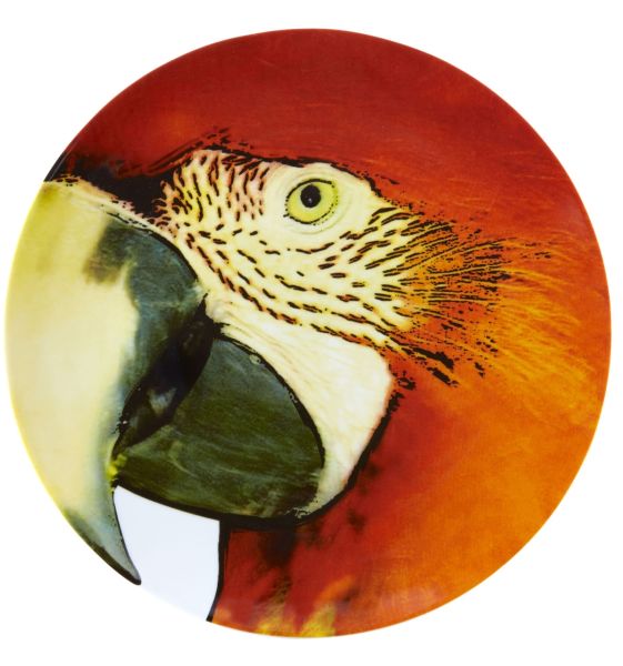 Vista Alegre Tabak Red Macaw Olhar O Brasil