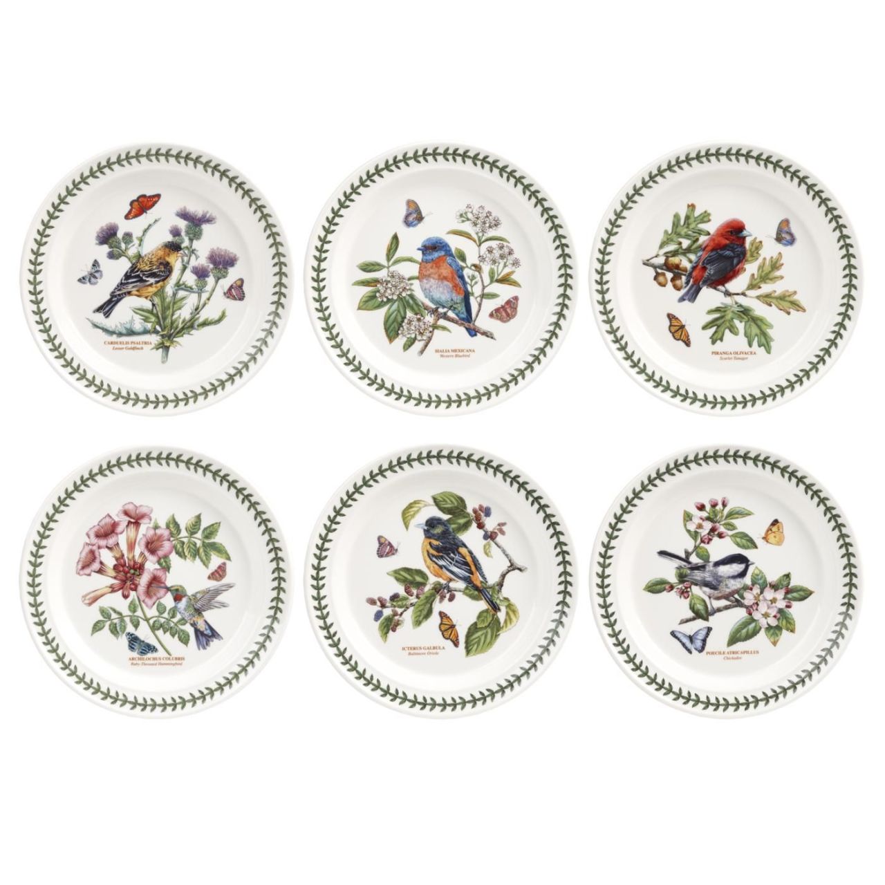 Portmeirion Botanic Garden Birds 27 cm Düz Yemek Tabağı 6'lı