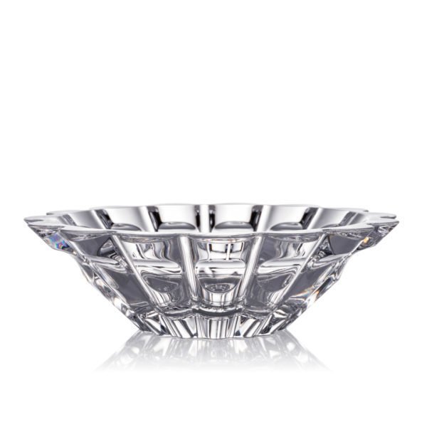 ROGASKA ASTER 15 CM KASE