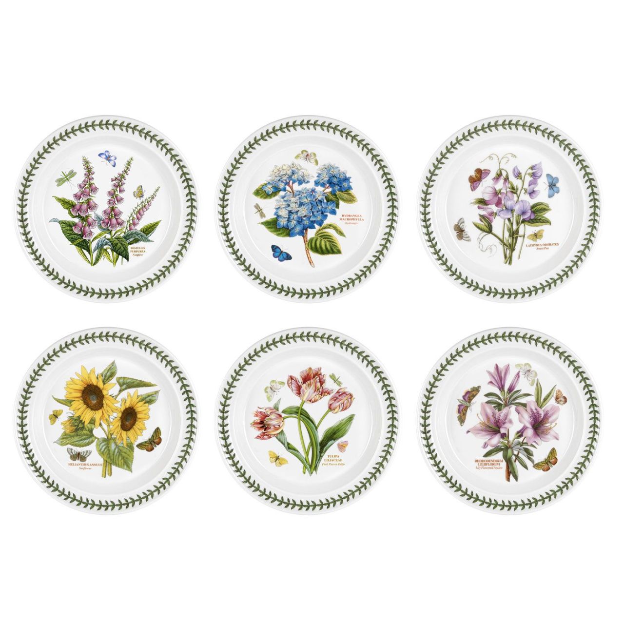 Portmeirion Botanic Garden 27 cm Düz Yemek Tabağı 6'lı