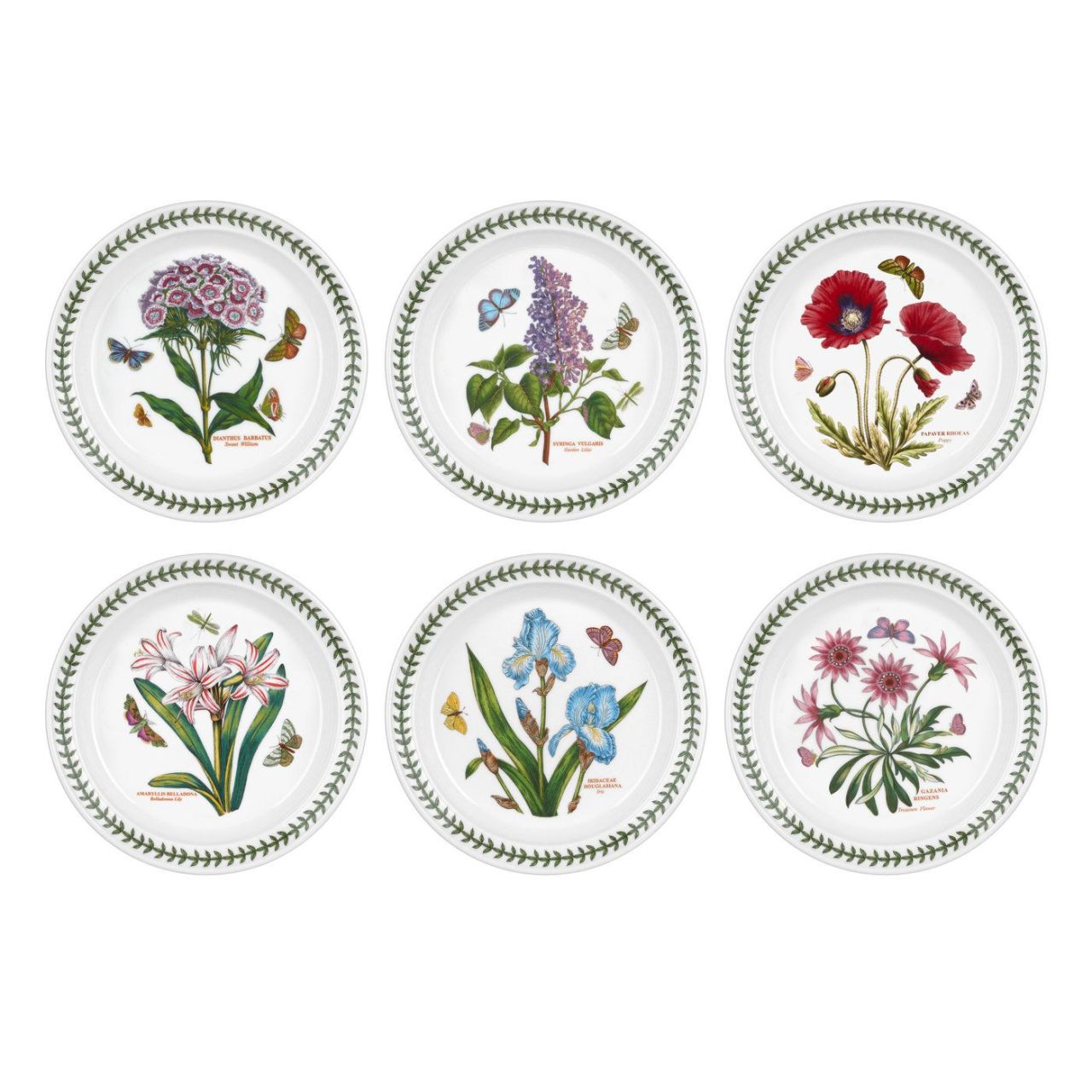 Portmeirion Botanic Garden Pasta Tabağı 21,5 cm 6’lı
