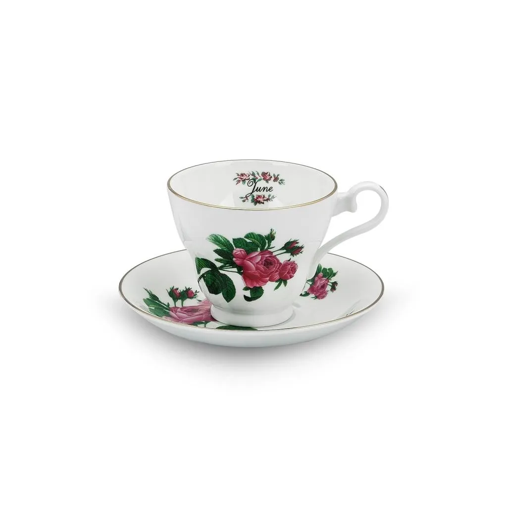 Aynsley Birth Month Flowers Çay Fincanı-Haziran Rose