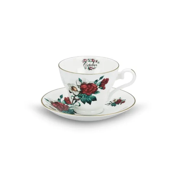 Aynsley Birth Month Flowers Çay Fincanı- Ekim- Carnation