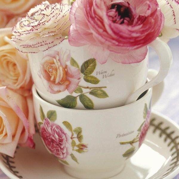 PORTMEIRION BOTANIC ROSES ÇAY FİNCANI 6 LI