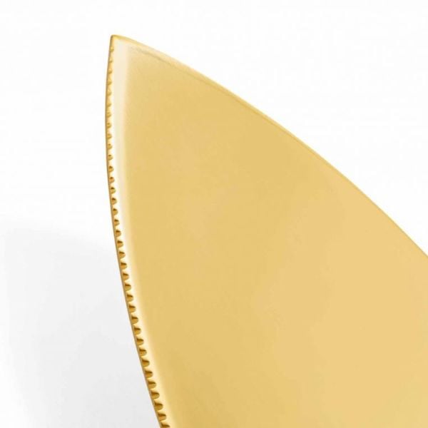 SPODE CREATURES OF CURIOSITY SPATÜL