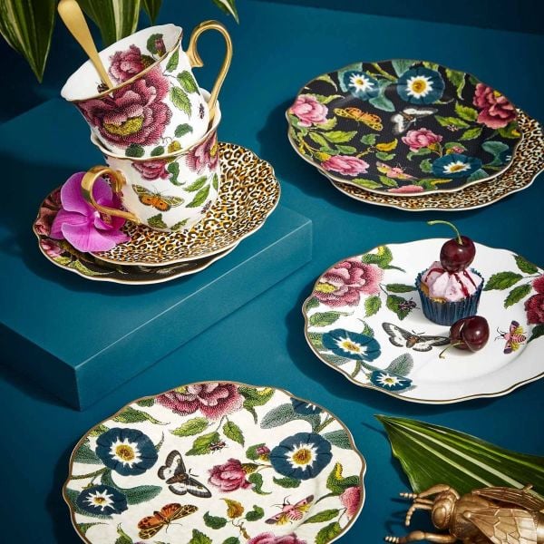 SPODE CREATURES OF CURIOSITY PASTA TABAGI 4 LÜ