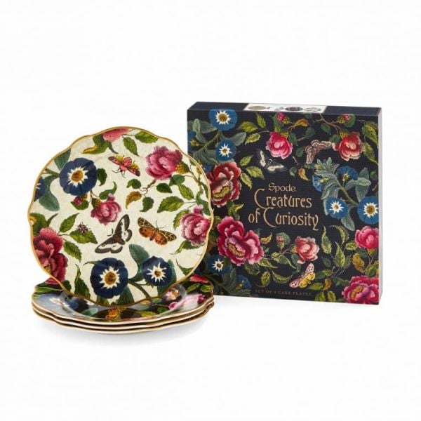 SPODE CREATURES OF CURIOSITY PASTA TABAGI 4 LÜ