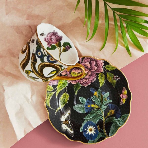 SPODE CREATURES OF CURIOSITY ÇAY FİNCANI VE TABAK YILAN& SİYAH
