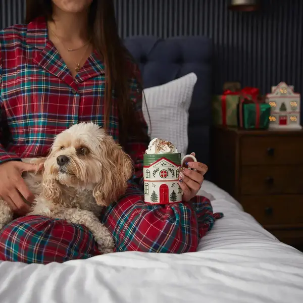 SPODE CHRISTMAS TREE VILLAGE KUPA GREEN ROOF