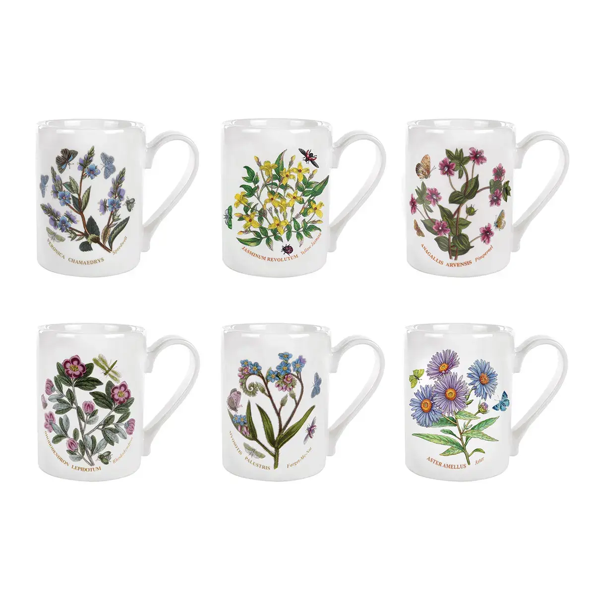 PORTMEIRION BOTANIC GARDEN KUPA 6 LI (COFFE MUG)