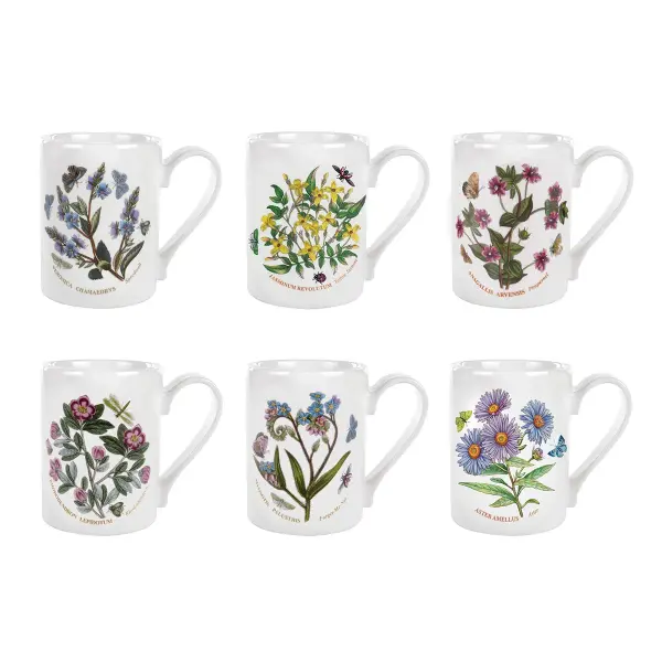 PORTMEIRION BOTANIC GARDEN KUPA 6 LI (COFFE MUG)