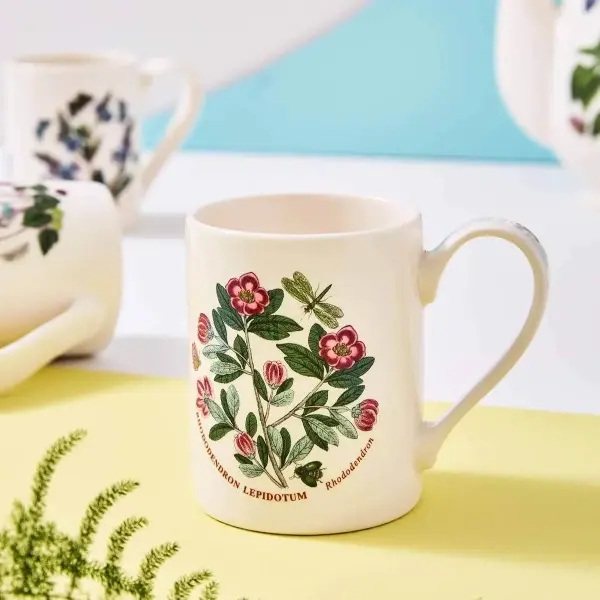 PORTMEIRION BOTANIC GARDEN KUPA 6 LI (COFFE MUG)