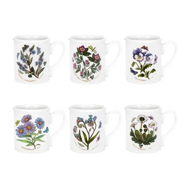 PORTMEIRION BOTANIC GARDEN KUPA 6 LI (BREAKFAST MUG)