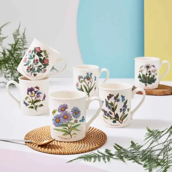 PORTMEIRION BOTANIC GARDEN KUPA 6 LI (BREAKFAST MUG)
