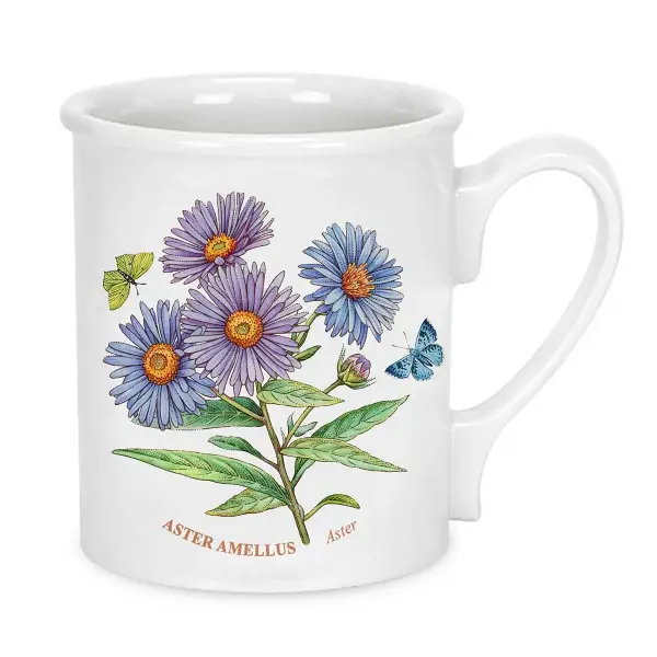 PORTMEIRION BOTANIC GARDEN KUPA 6 LI (BREAKFAST MUG)