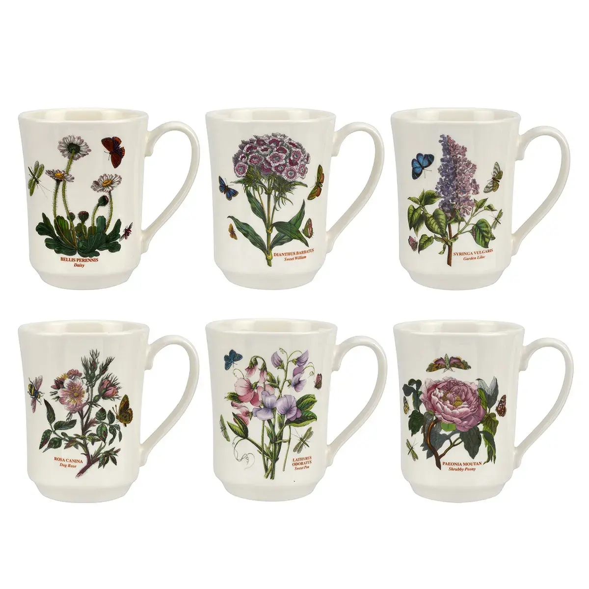 PORTMEIRION BOTANIC GARDEN FLARED TANKARD 6 LI