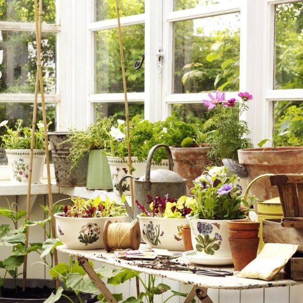 PORTMEIRION BOTANIC GARDEN KAP SAKSI (26 CM)