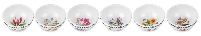 PORTMEIRION EXOTIC BOTANIC GARDEN 14 CM KASE 6 LI