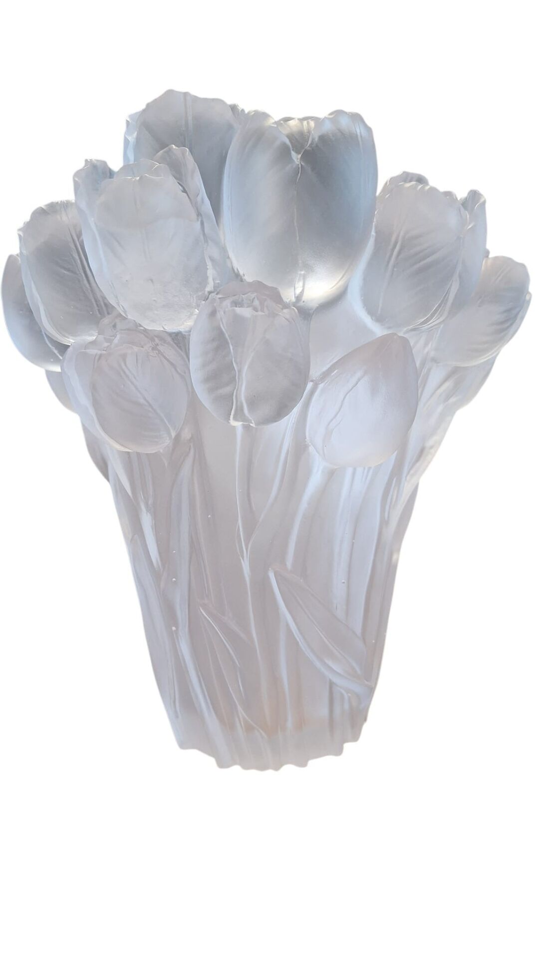 Cristal de Paris Kristal Şeffaf Vazo
