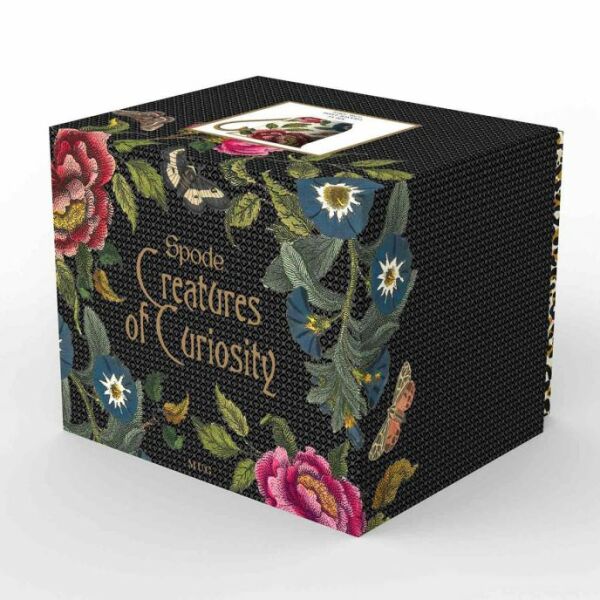 Spode Creatures of Curiosity Siyah Kupa